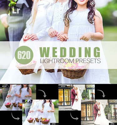 11000+ Lightroom Presets