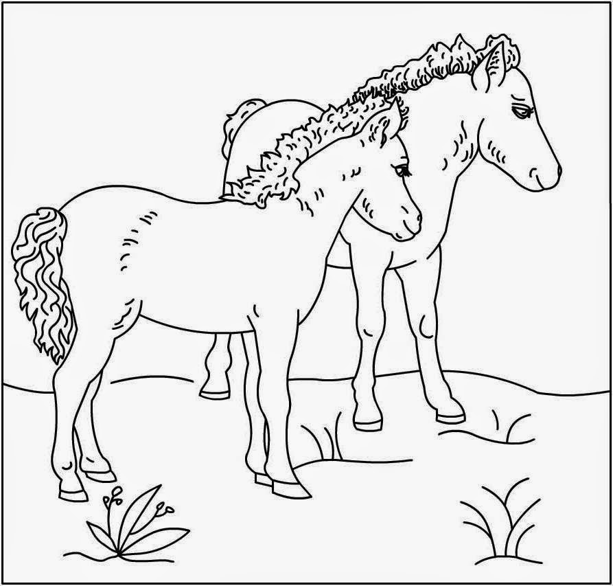 Great Horse Coloring Pages Online | New Coloring Pages