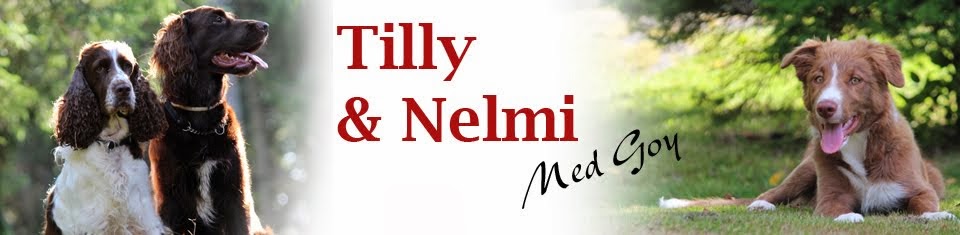 Tilly o Nelmi