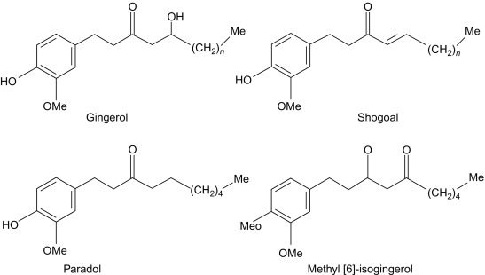 gingerol