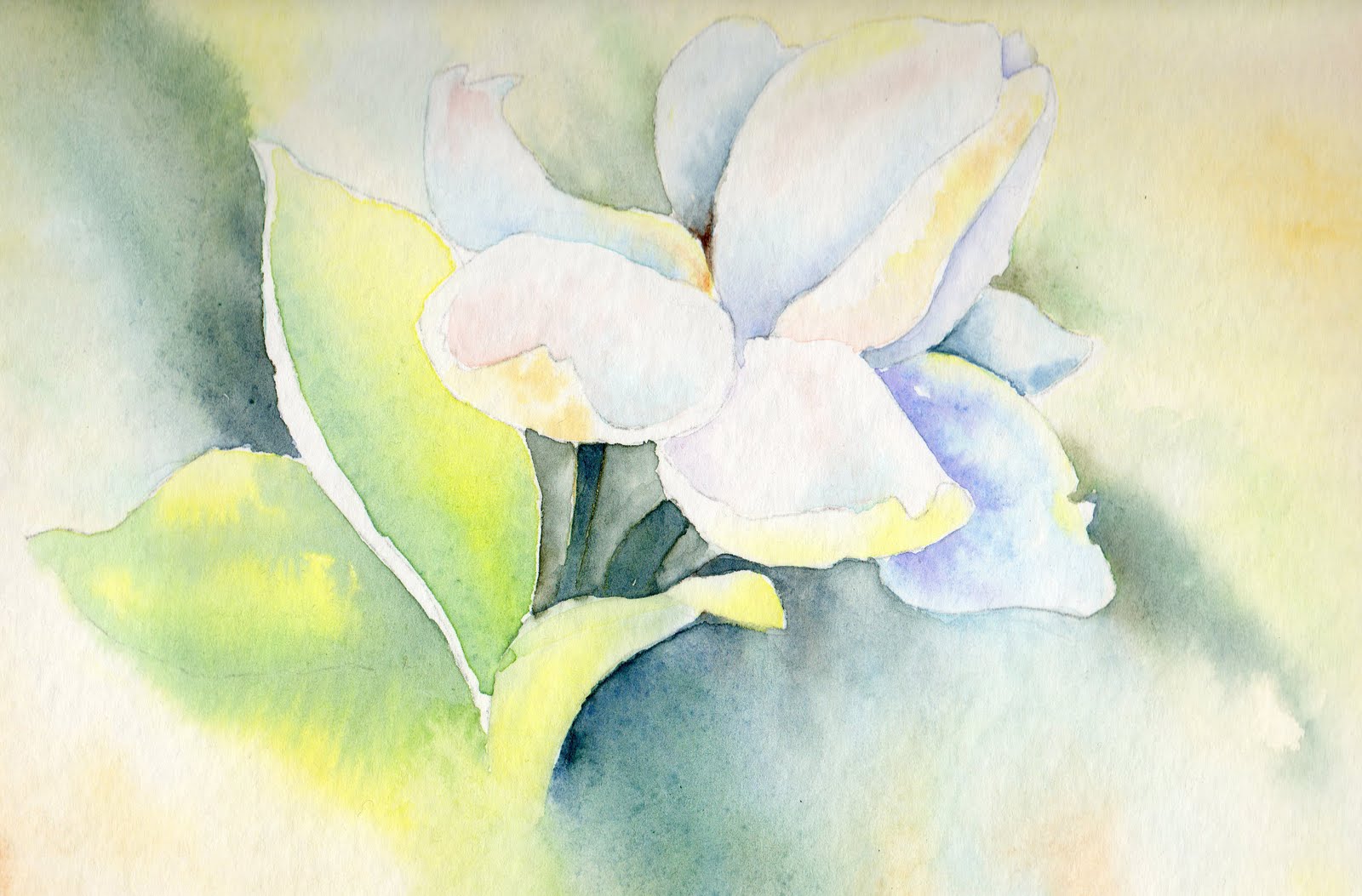 Norma del Rio Obras Acuarelas