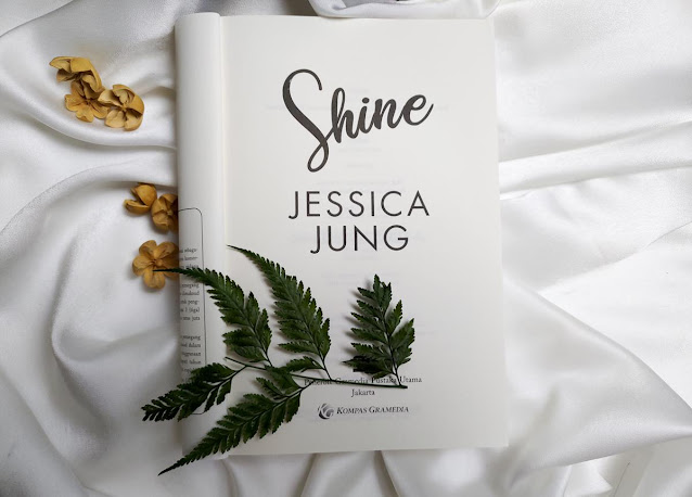 review novel shine review novel shine