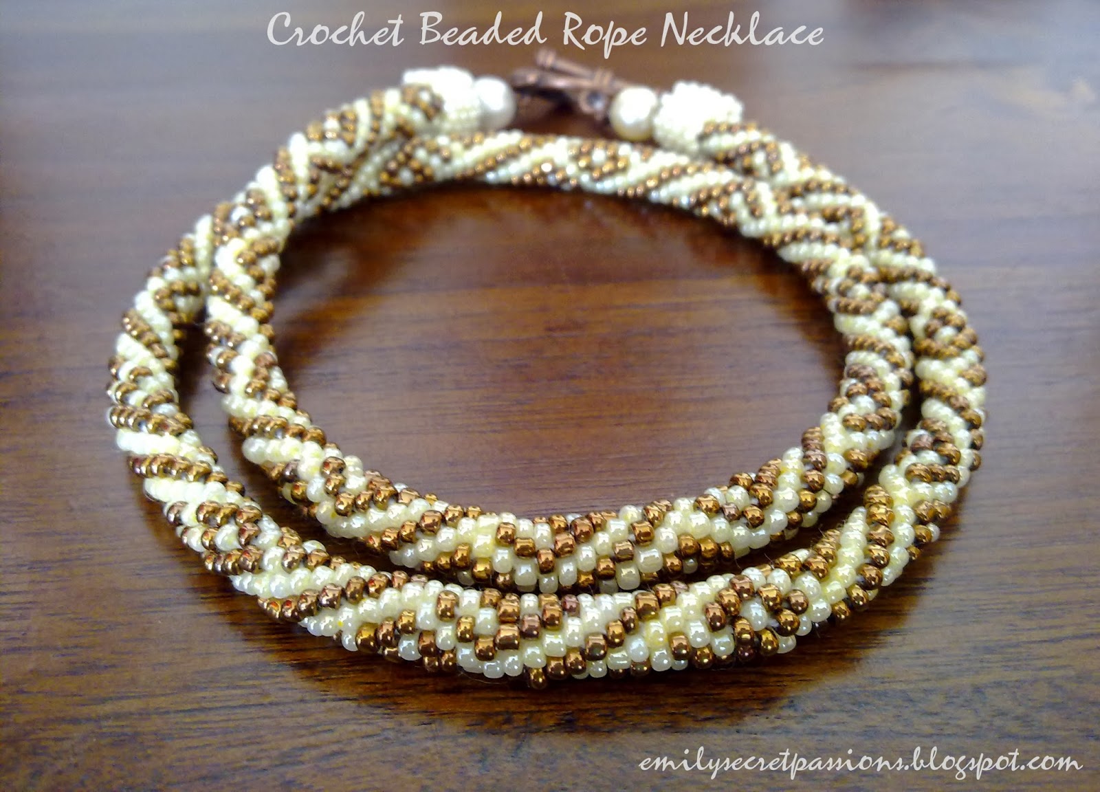 Emily Secret Passions Crochet Beaded Rope Necklace/Bracelet