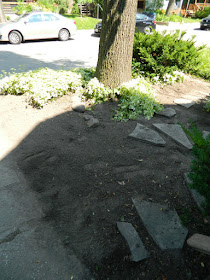 Paul Jung Gardening Services Toronto Leslieville front garden clean up after