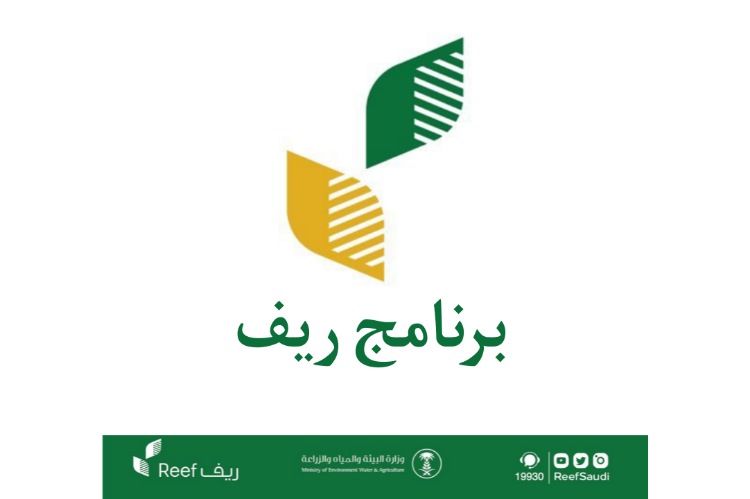 دعم العاطلين عن العمل