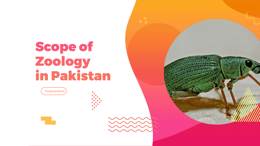 Zoology scholarships 2021 picture