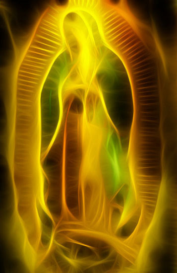 Image result for imagem da virgem de guadalupe