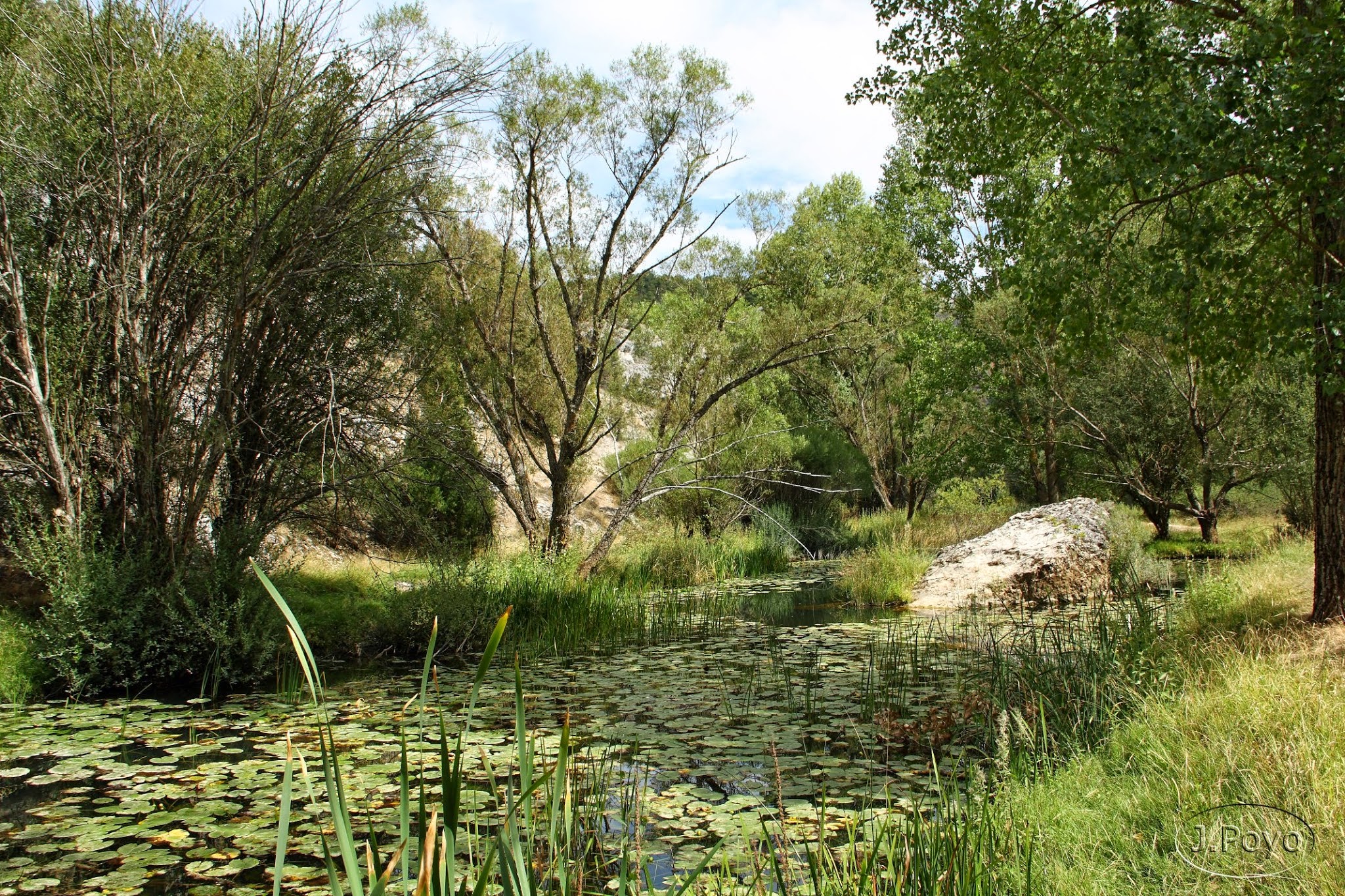 Cañón del río Lobos