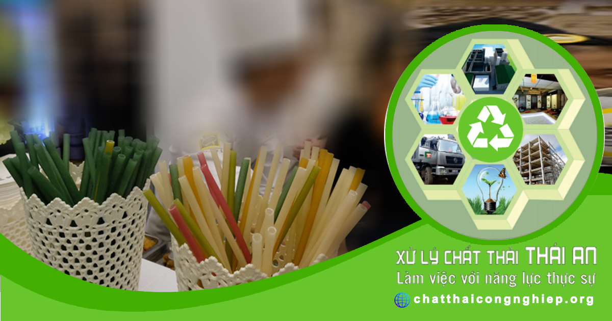 Biện pháp để bảo vệ môi trường bằng ống cỏ và túi giấy Biện pháp để bảo vệ môi trường bằng ống cỏ và túi giấy