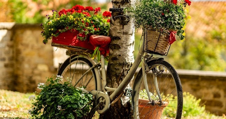 Gartendeko Selbermachen, RecyclingIdeen, GartenImpressionen Pimp a