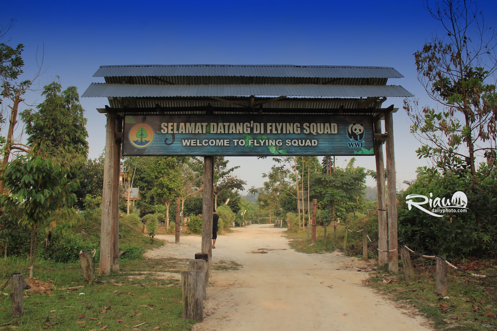 Ekowisata Taman Nasional Tesso Nilo - BLOGGER BERTUAH
