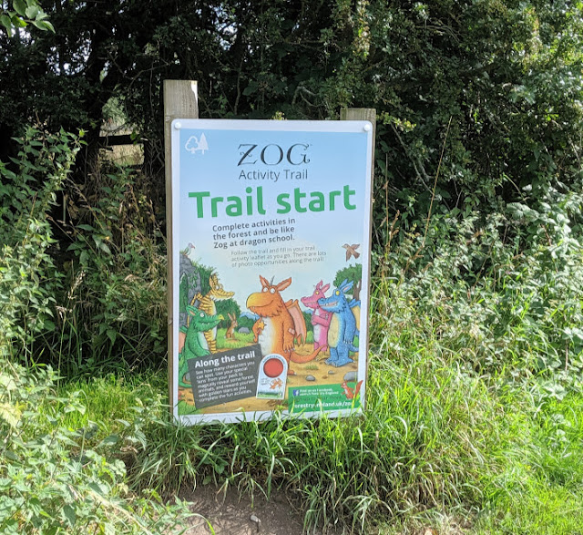 Zog Trail at Guisborough Forest