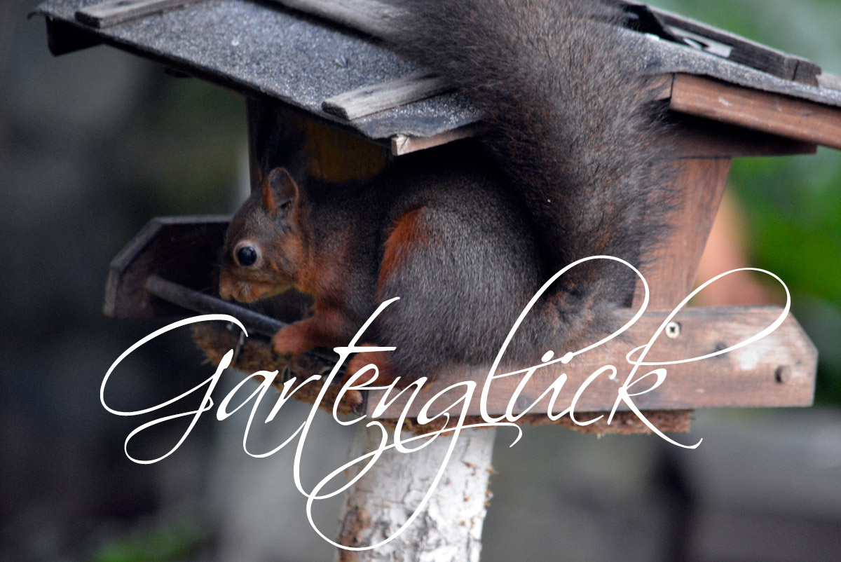 Gartenglueck Gartenglueck