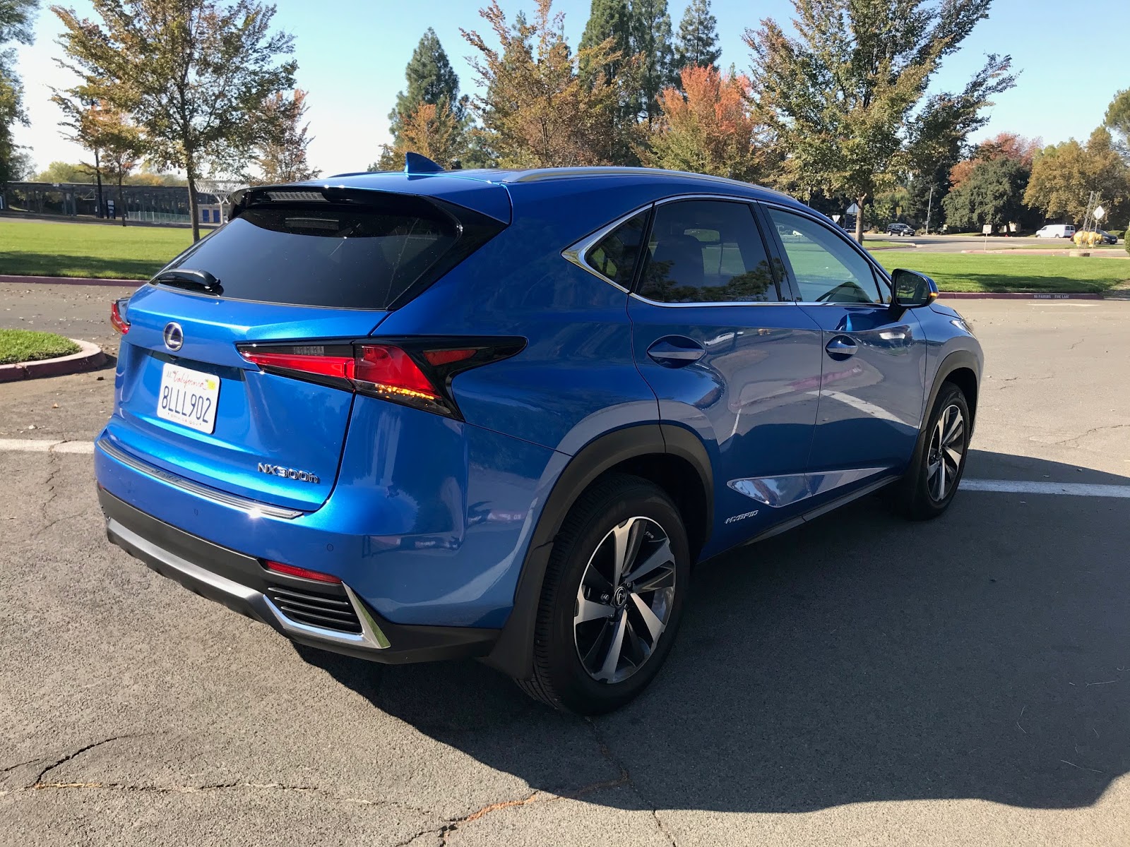 Compact Is The New Mid-Size: The 2020 Lexus NX 300h
