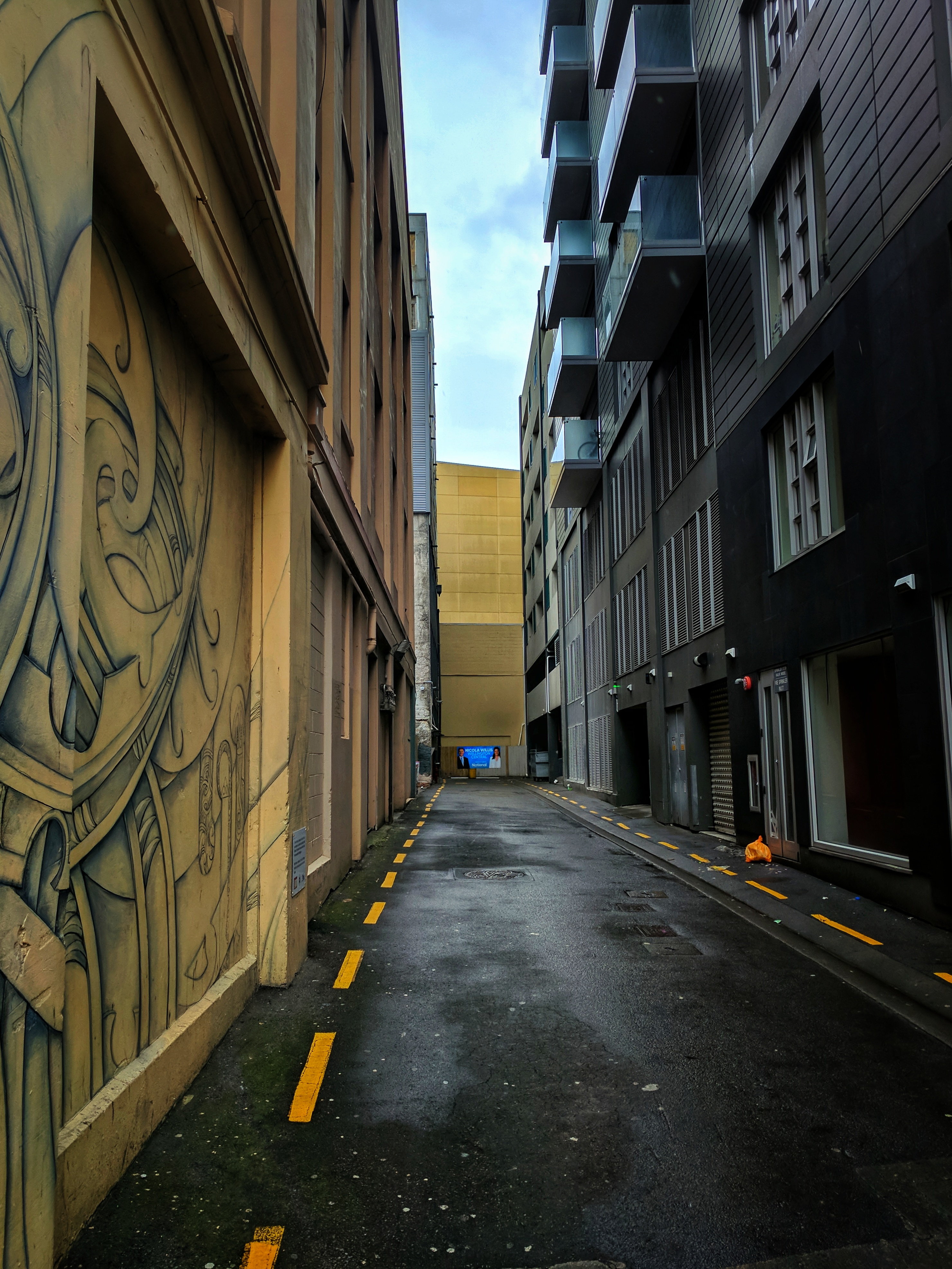 Wellington alleyway