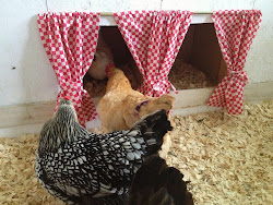 chicken coop decor curtains