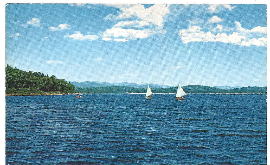 Black Buzz Fryeburg, Maine Happy 250th Birthday August 24, 2013