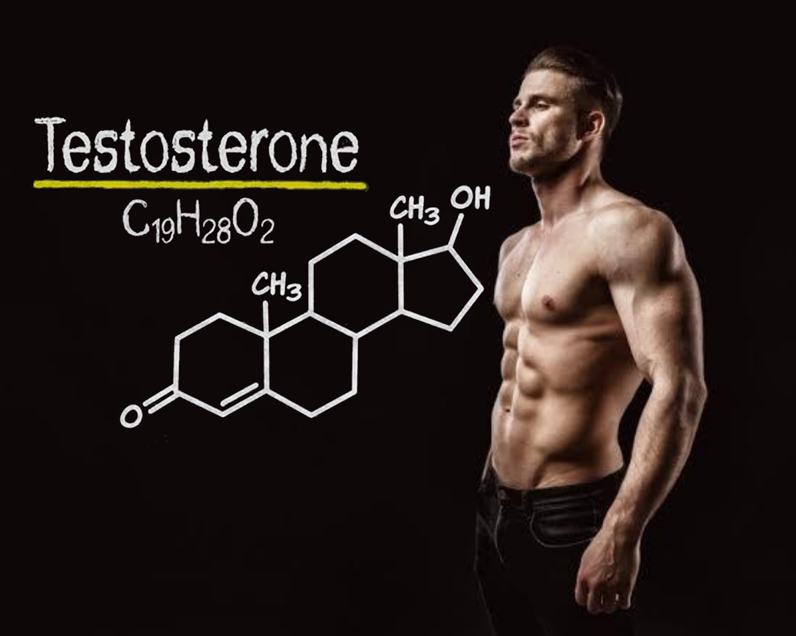 زيادة هرمون الذكورة هرمون التستوستيرون بطرق طبيعية ثقف نفسك