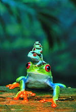 AMPHIBIAN & REPTILE CARE (Click the pic)