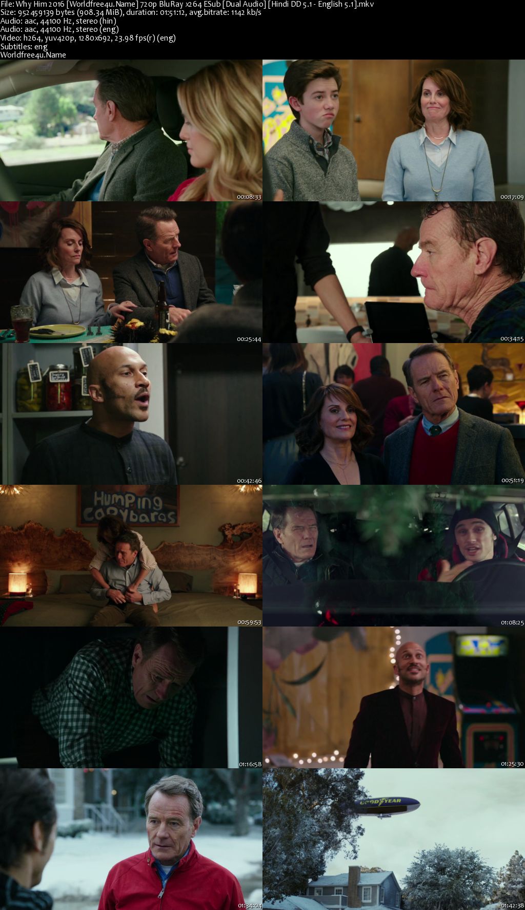 Why Him 2016 BRRip 720p Dual Audio