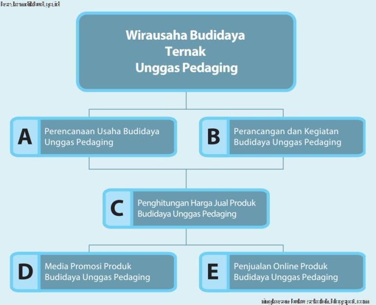 Bab Vii Wirausaha Budi Daya Unggas Pedaging Kelas 12 Sma Ma Smk Prakarya