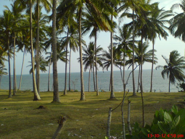 View Pantai