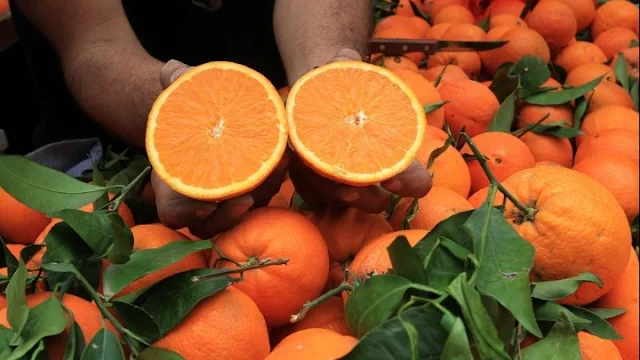 «Απογειώθηκε» η εσωτερική κατανάλωση και οι  εξαγωγές οπωροκηπευτικών - Πρωταθλητές τα πορτοκάλια