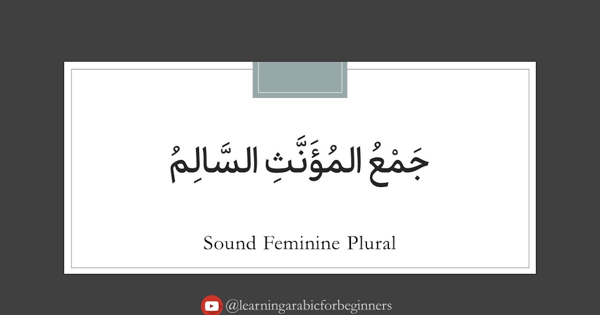 Sound Feminine Plural Cases in Arabic Durusul lughah book 2 lesson 9