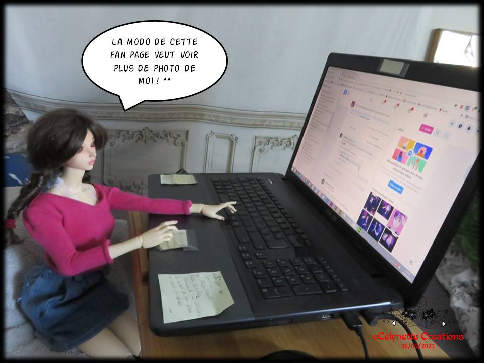 tout compte fait : mpl Tora chez Poppy / RDV - Page 18 Diapositive2