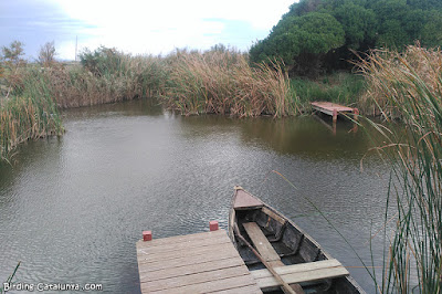 Estany a la Fundació Plegadis