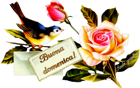che la vita continua bon dimanche buona domenica miss christmas