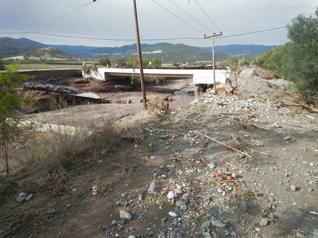 IMG 4100 | Lamianow.gr