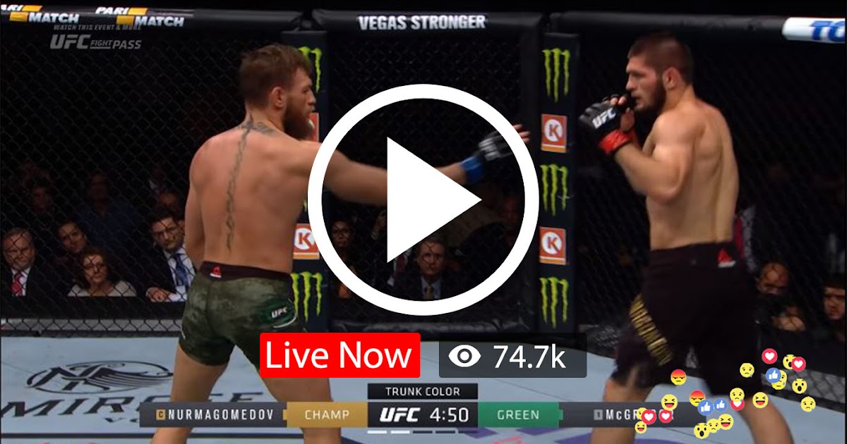 U.F.C. 254 Live : Khabib vs. Gaethje Watch UFC Live Stream watch ufc live streaming for free ufc ...
