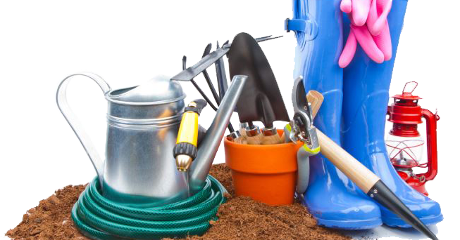 Parque Palma: Funciones Jardinero