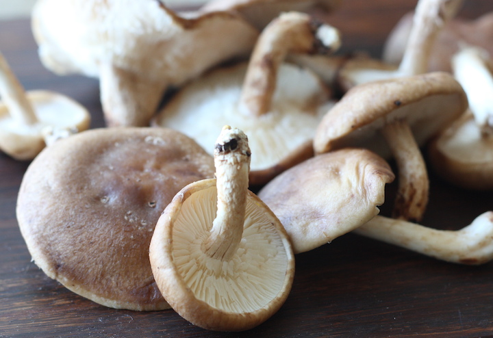 shiitake mushrooms