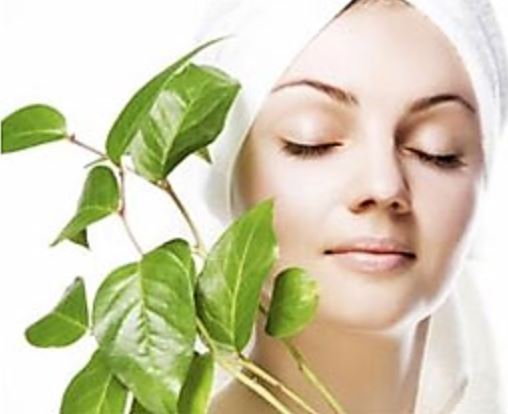 A Few Tips For Woman's Health and Beauty A Few Tips For Woman's Health and Beauty