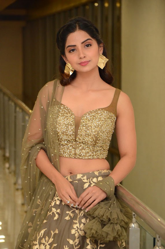 Kashmira Pardeshi at Narthanasala Pre-Release