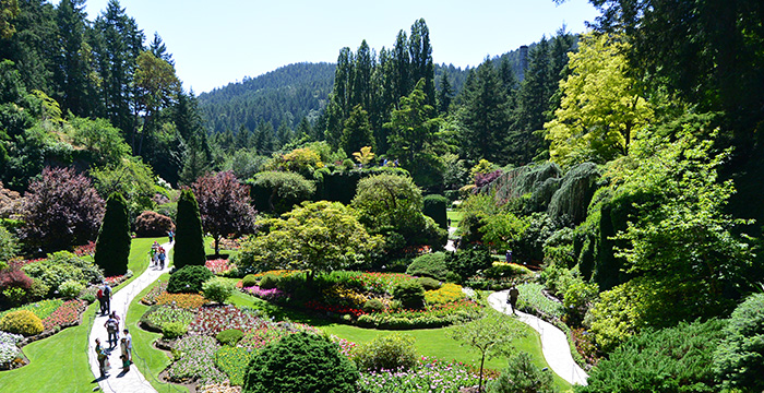 Butchart Gardens