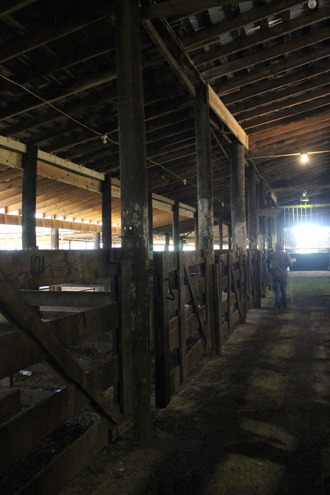 Snug Harbor Bay Livingston Livestock Auction