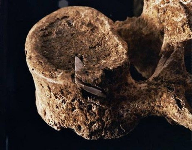 Позвонок мамонта с застрявшим наконечником стрелы (Сибирь, 13 тысяч лет до н.э.)