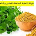 ما هي فوائد الحلبة المذهلة للصحة العامة والشعر والتخسيس؟ ما هي فوائد الحلبة المذهلة للصحة العامة والشعر والتخسيس؟