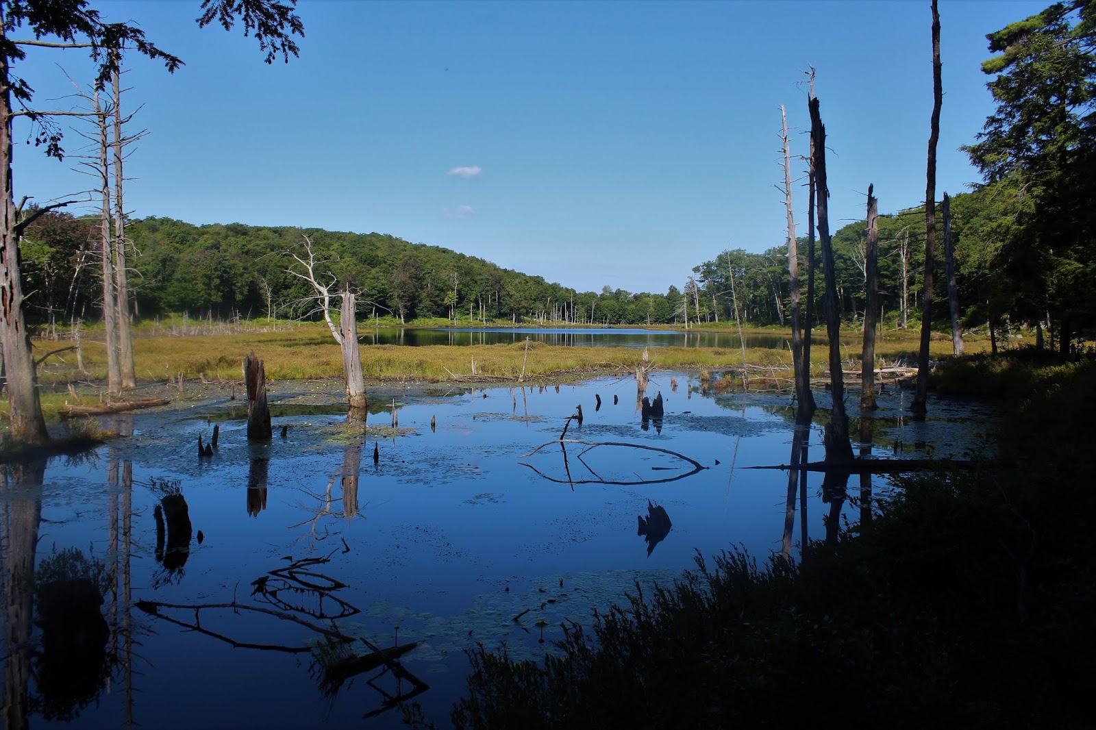 Walking Man 24 7 Mud Lake Ridge, West Stony Creek Mountain and