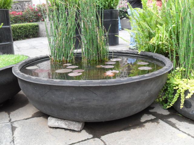 Un estanque con un viejo neumático