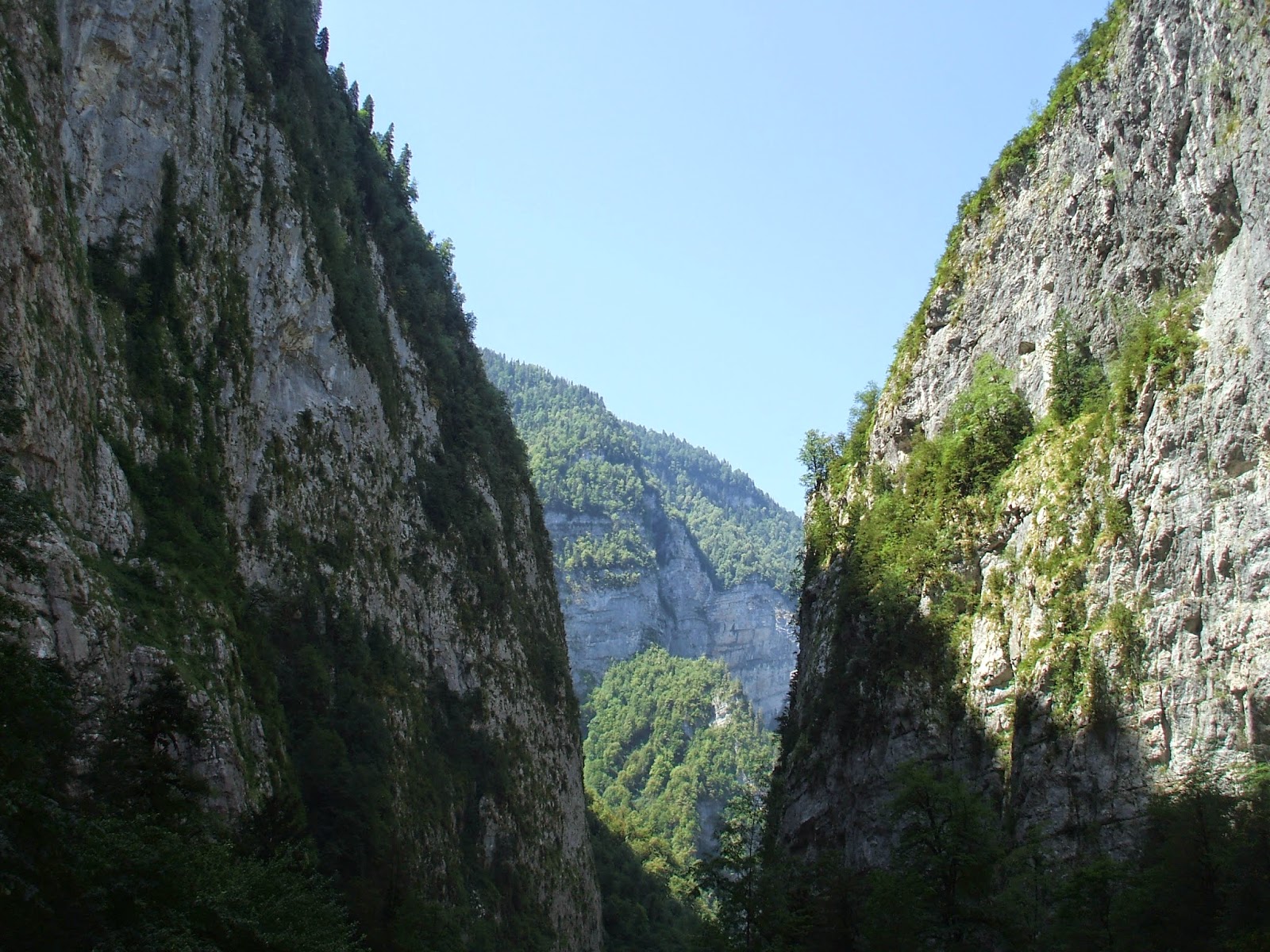Рицинский реликтовый национальный парк Абхазия