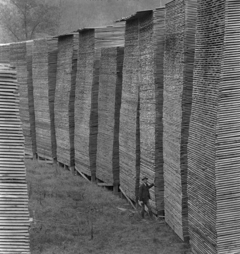 3 Breathtaking Pictures of Stacks of Lumber From the Early 20th Century