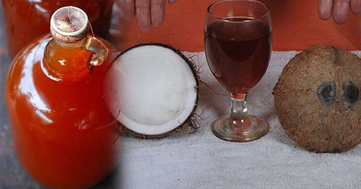 Bahalina Tuba The Best Coconut Wine of Leyte and Samar