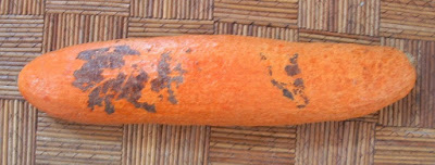 north roaster georgia candy