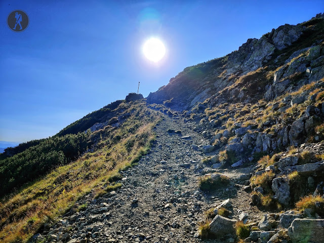 Traseu în Munții Parâng - Vârful Parângul Mare (2519 m)