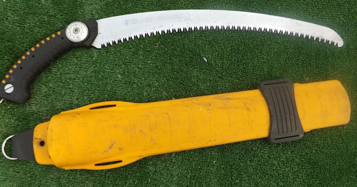 The pruning expert Choosing a pruning saw