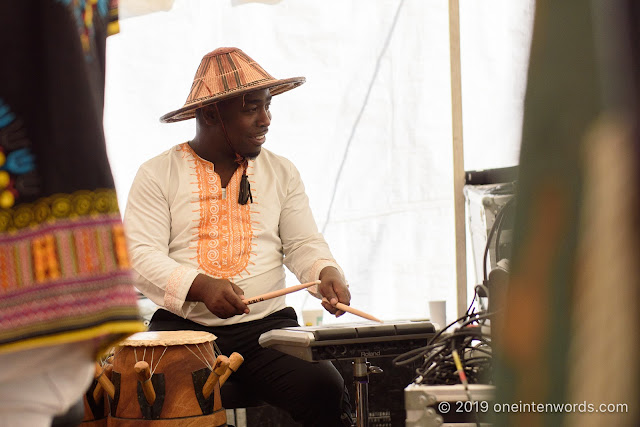 Andrew Craig at Hillside Festival on Sunday, July 14, 2019 Photo by John Ordean at One In Ten Words oneintenwords.com toronto indie alternative live music blog concert photography pictures photos nikon d750 camera yyz photographer